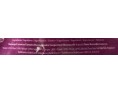 QUEUE DE CREVETTE 31/40 PTO DECO VANAMEI ****
