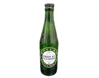 SAUCE HOI SIN