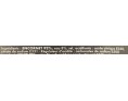 TUBE ENCORNET ENTIER U/5 ****