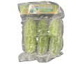 CONCOMBRE AMER ****