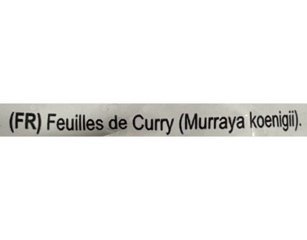 FEUILLE DE CURRY ****