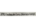 FEUILLE DE CURRY ****