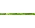 PERLE DE COCO CREME DE CACAHUETE 12 P. ****