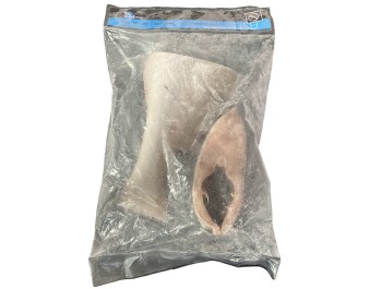 POISSON CAPITAINE COUPE ****