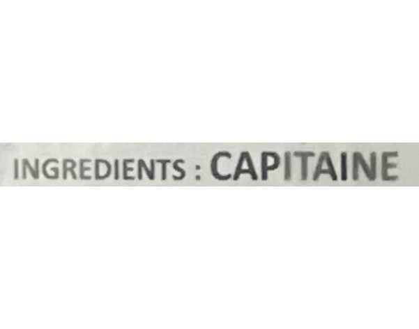 POISSON CAPITAINE COUPE ****