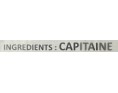 POISSON CAPITAINE COUPE ****