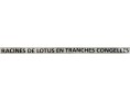 RACINE DE LOTUS ****