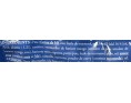 SAMOUSSAS AU BOEUF HALAL 20 P. ****