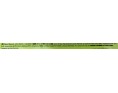 BRIOCHE JAPONAISE AU THE VERT
