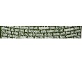 FEUILLE DE VIGNE FARCIE