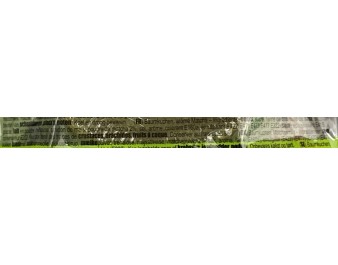 GATEAU BAUMKUCHEN AU THE VERT