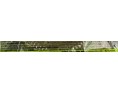 GATEAU BAUMKUCHEN AU THE VERT