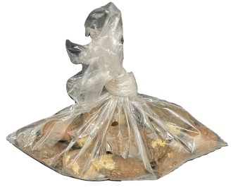 NOIX DE COLA PETIT