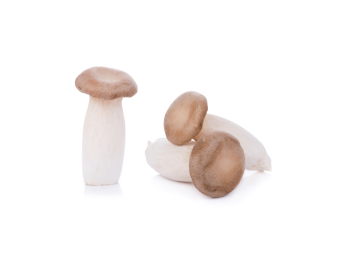 CHAMPIGNON ERENGII (A LA PESEE)