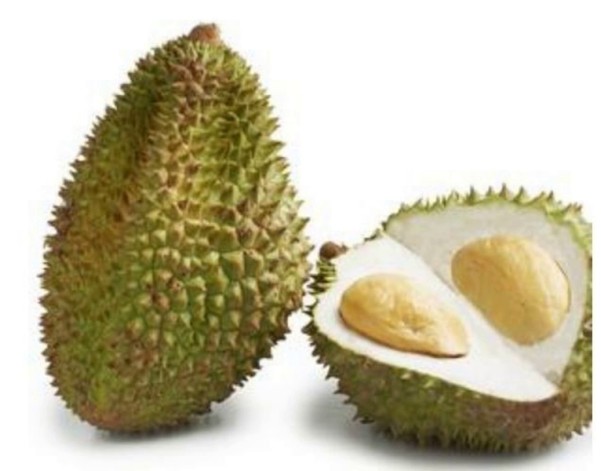 DURIAN (A LA PESEE)