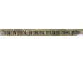 FEUILLE DE LAURIER ENTIER