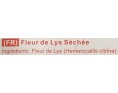 FLEUR DE LYS SECHEE