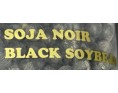GRAINE DE SOJA NOIR