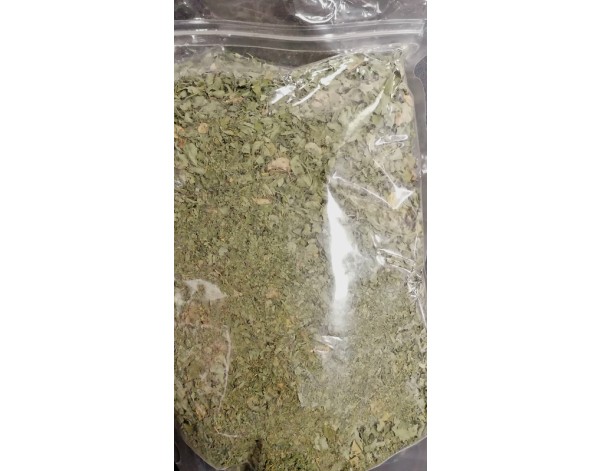 MORINGA EN FEUILLE SECHEE