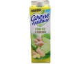 NECTAR CITRON VERT ET GINGEMBRE