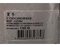 CODONOPSIS