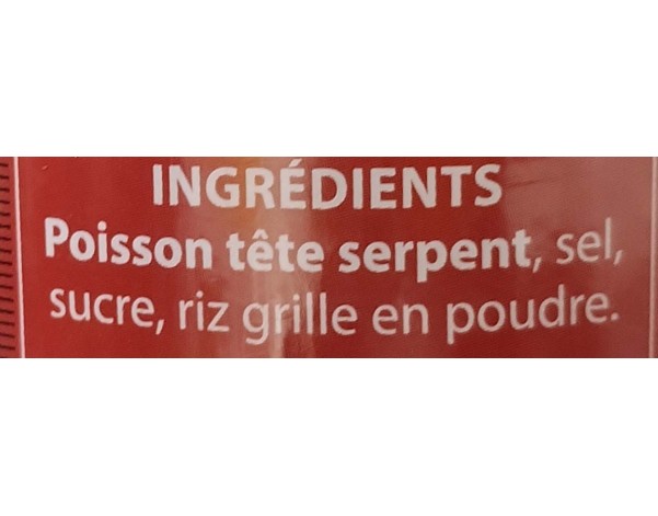 POISSON TETE DE SERPENT SANS ARETE