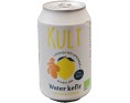 BOISSON FERMENTEE KEFIR GINGEMBRE CITRON DE KULT