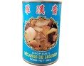 VEGETARIEN CHOP-SUEY