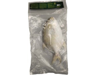 PROMO POISSON POMFRET GOLDEN 400/600 (A LA PESEE) ****